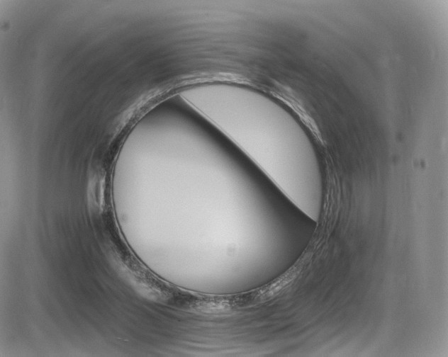 X0000085840110200703161106