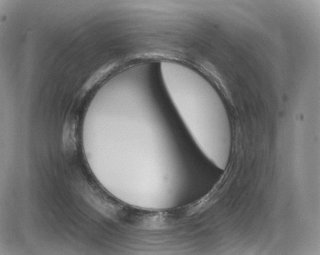 X0000085840116200703161106