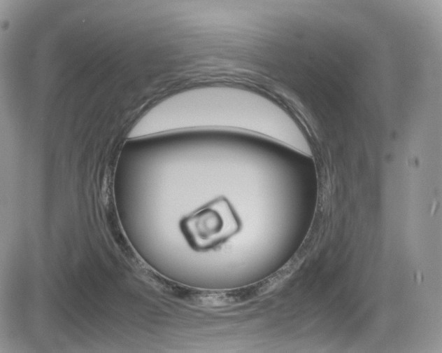 X0000085840121200703161106