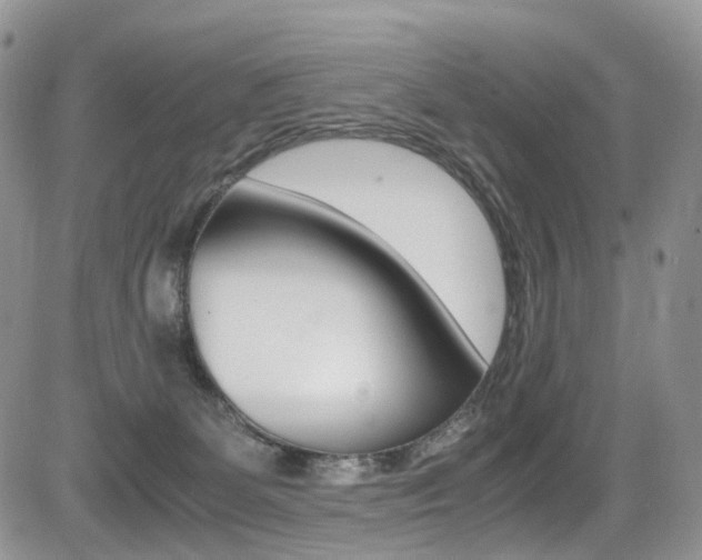X0000085840131200703161106