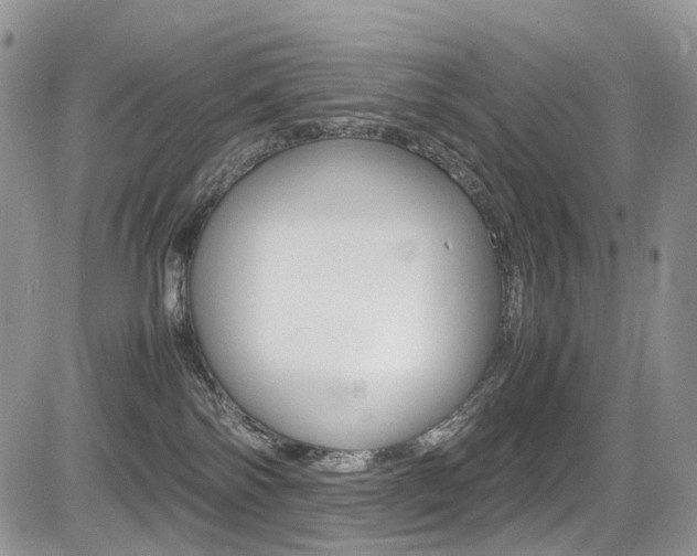 X0000085840138200703161106