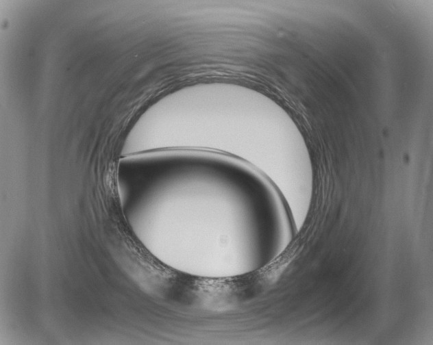 X0000085840141200703161105