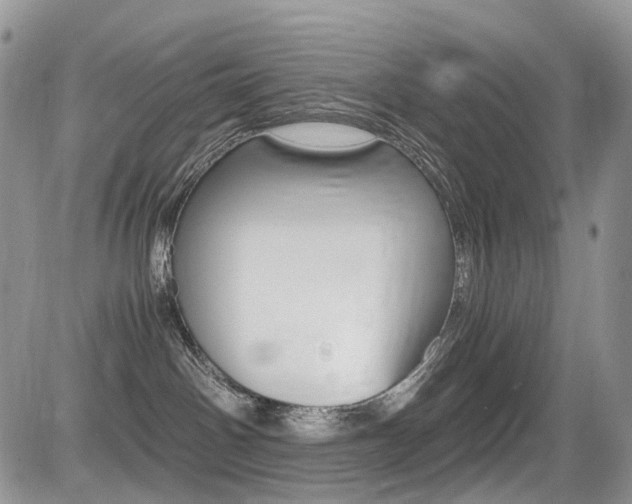 X0000085840142200703161105