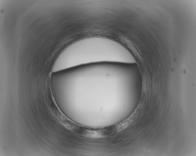 X0000085840167200703161105