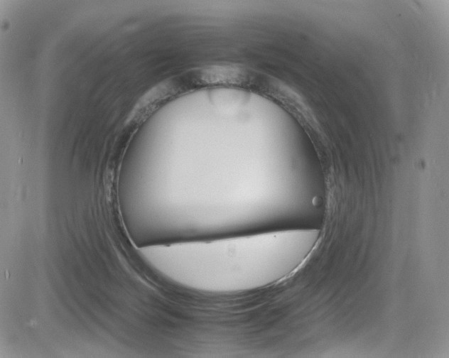 X0000085840171200703161105