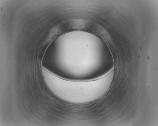 X0000085840172200703161105