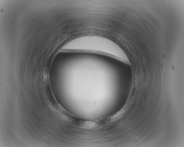 X0000085840176200703161105