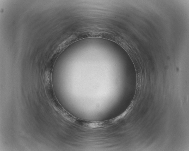X0000085840184200703161105