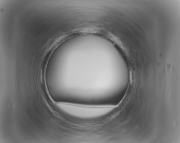 X0000085840205200703161104