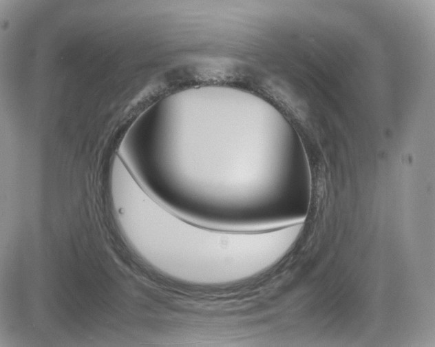 X0000085840211200703161104