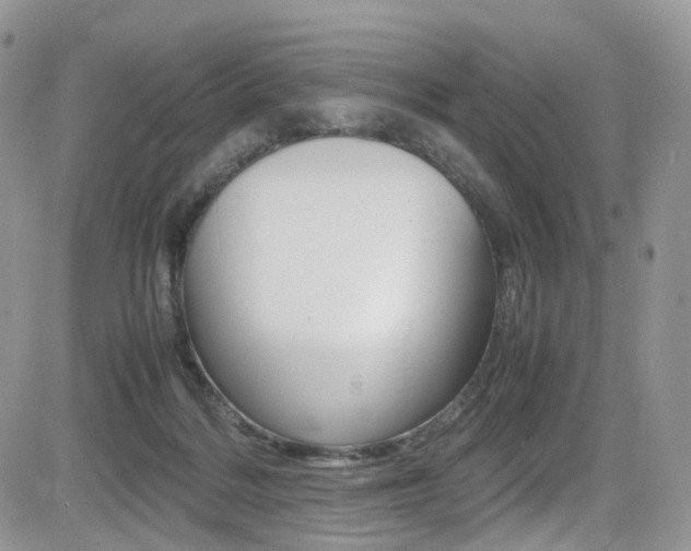 X0000085840220200703161104