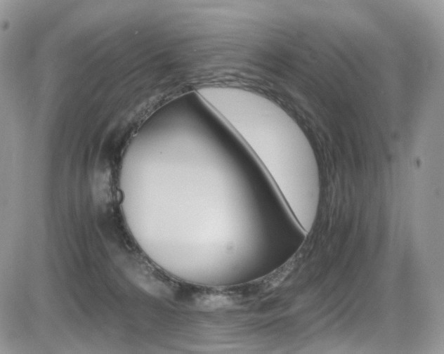 X0000085840224200703161104