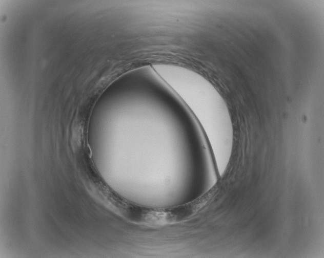 X0000085840227200703161104