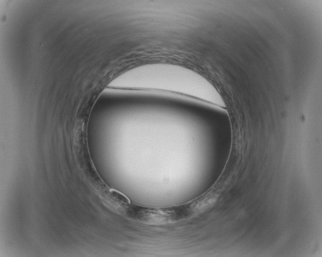 X0000085840229200703161104