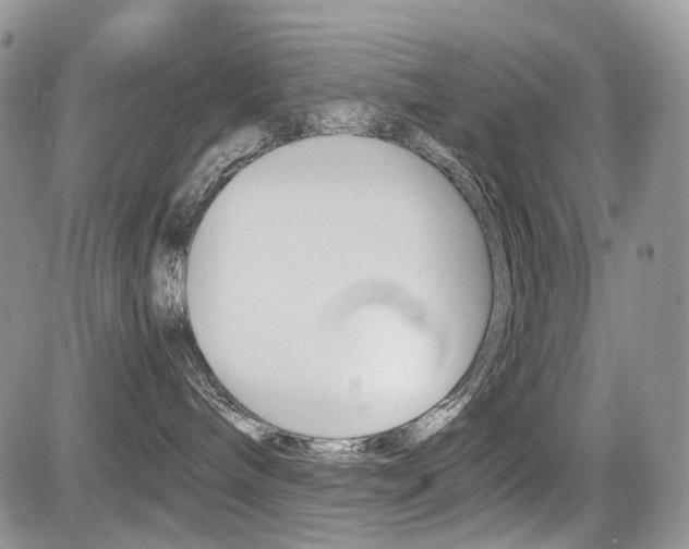X0000085840240200703161104
