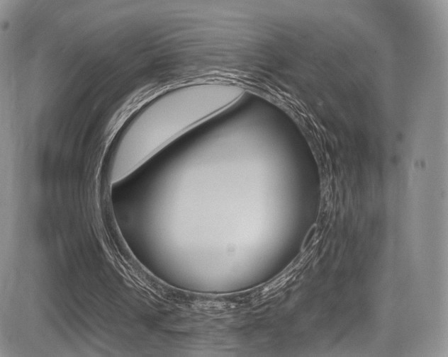 X0000085840242200703161103