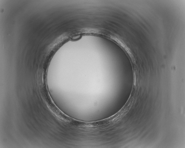 X0000085840253200703161103