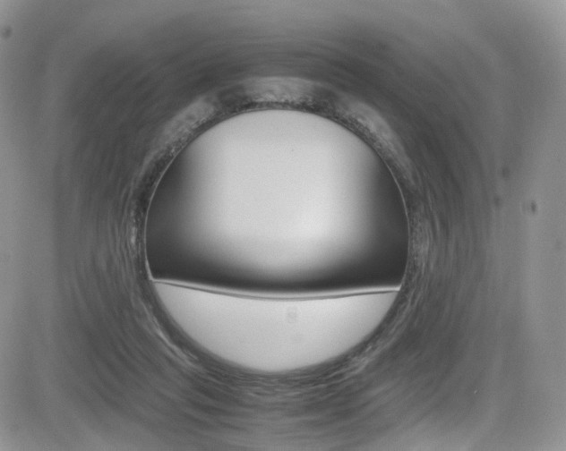 X0000085840261200703161103
