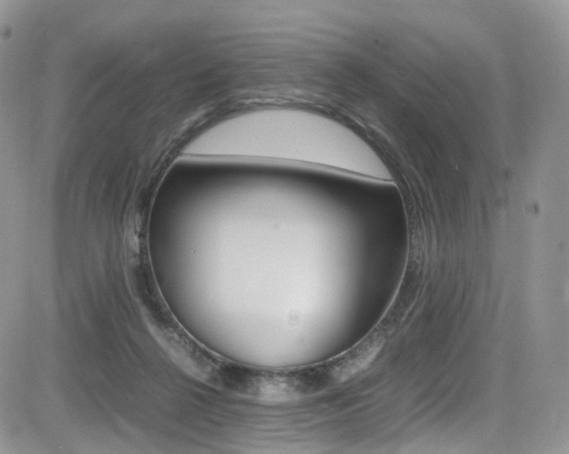 X0000085840264200703161103