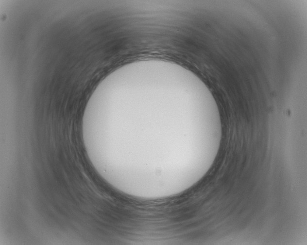 X0000085840272200703161104