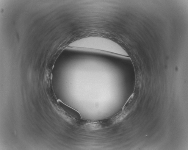 X0000085840280200703161104