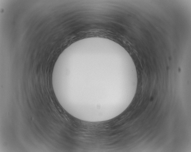 X0000085840283200703161104
