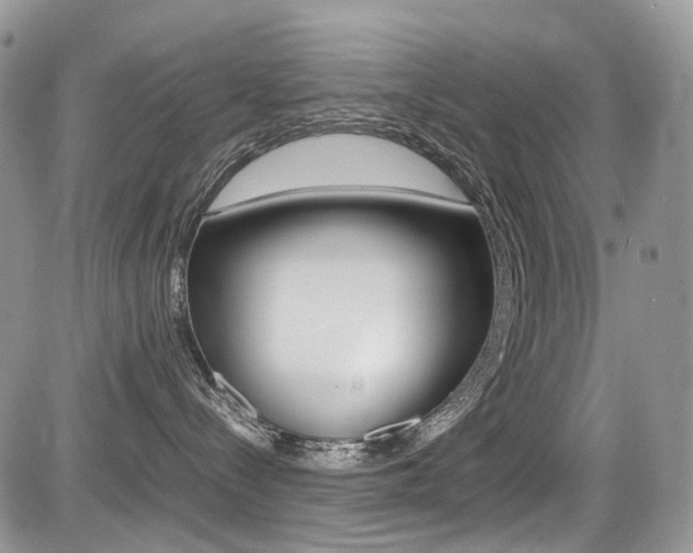 X0000085840288200703161104