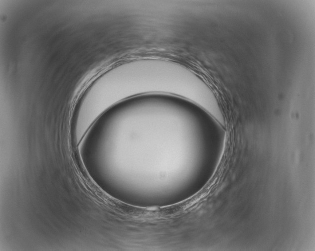 X0000085840293200703161103