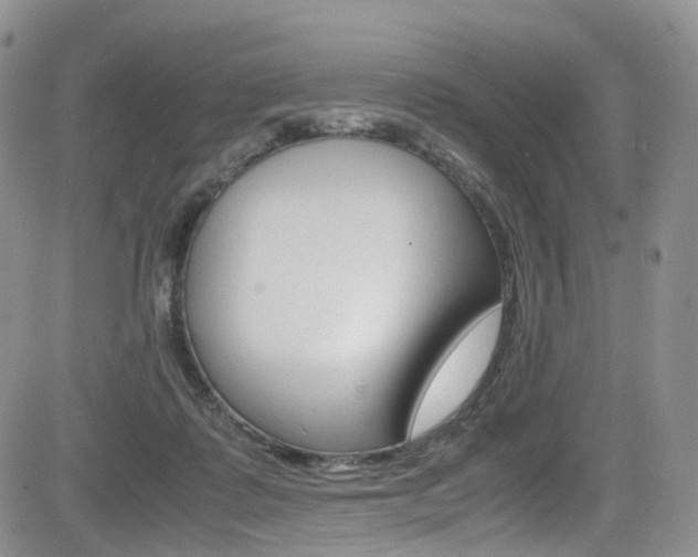 X0000085840315200703161103