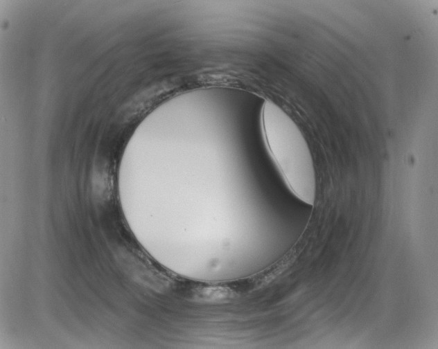 X0000085840324200703161102
