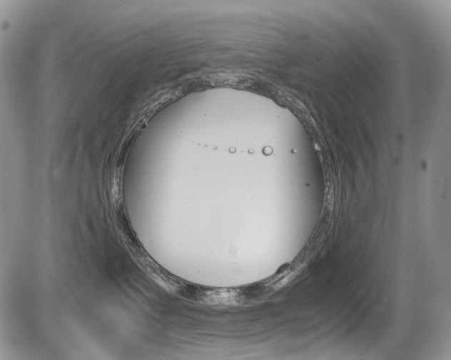 X0000085840335200703161102