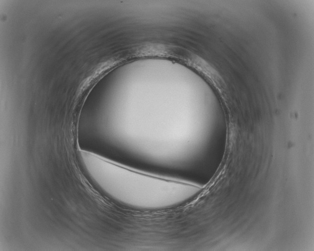 X0000085840345200703161101