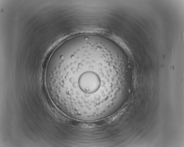 X0000085840346200703161101