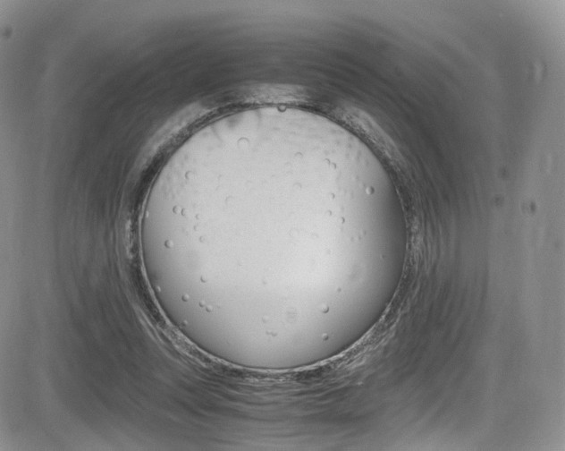 X0000085840351200703161102