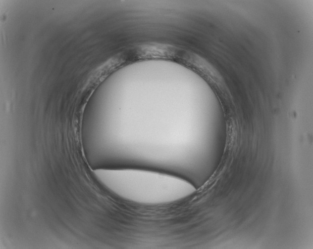 X0000085840361200703161102
