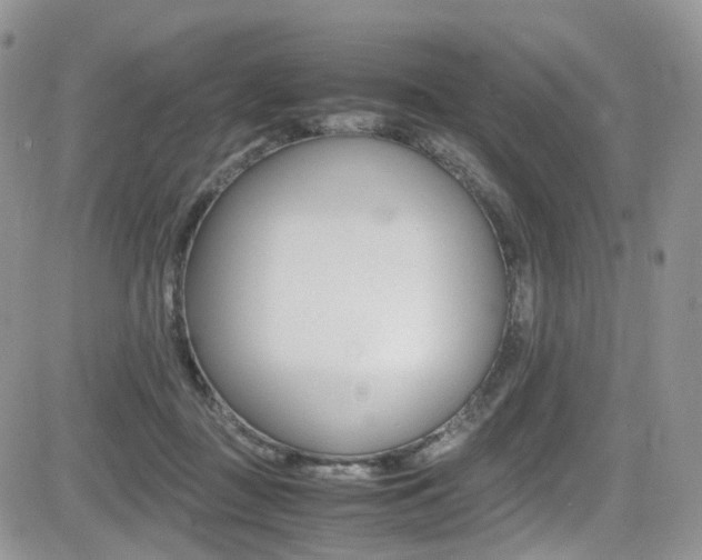 X0000085840363200703161102