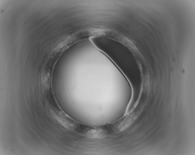 X0000085840364200703161102