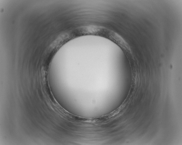X0000085840366200703161102