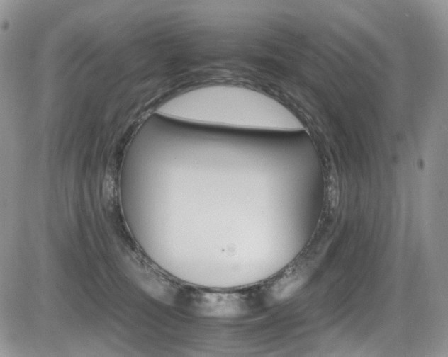 X0000085840371200703161102