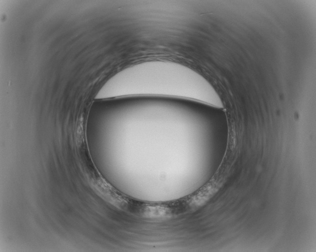 X0000085840376200703161102