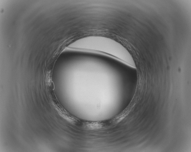 X0000085840383200703161102