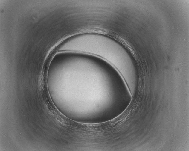 X0000085840388200703161101