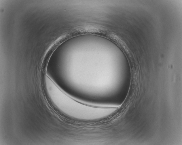 X0000085840395200703161101