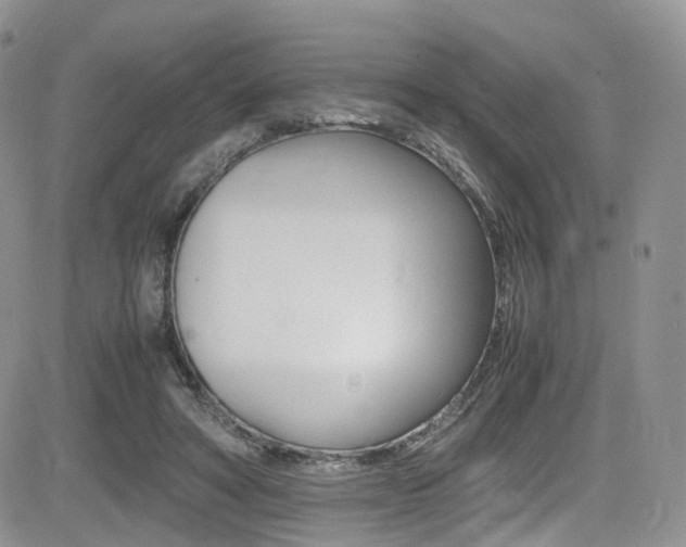 X0000085840402200703161101