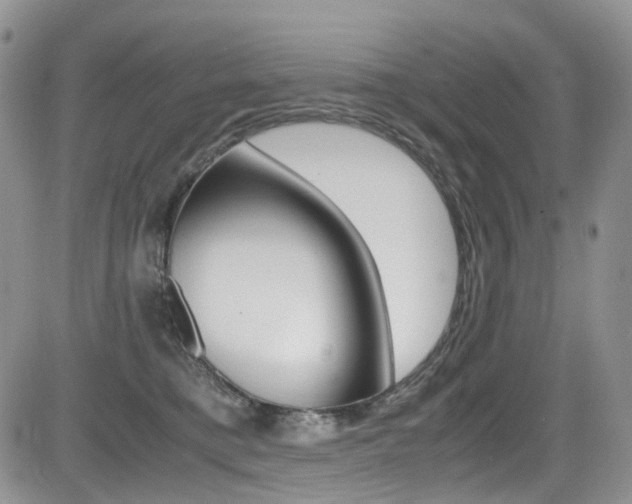 X0000085840421200703161101