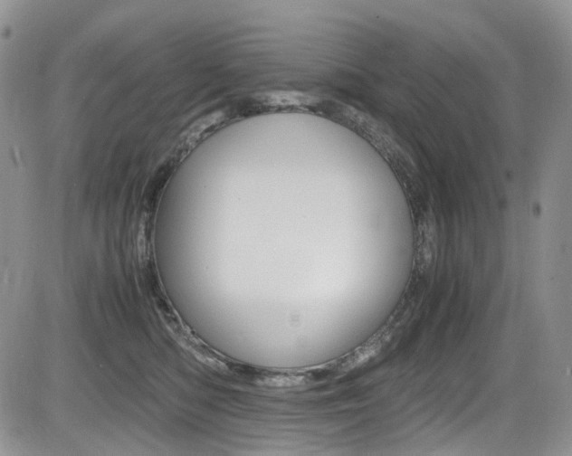 X0000085840422200703161101