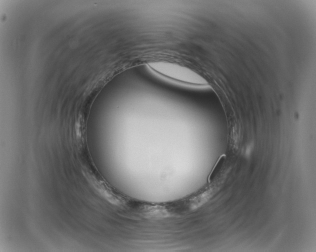 X0000085840424200703161101