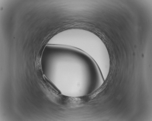 X0000085840429200703161101