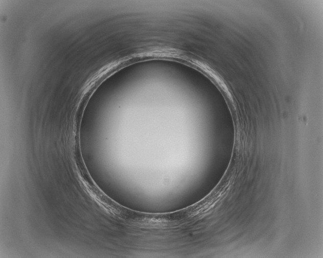 X0000085840437200703161100