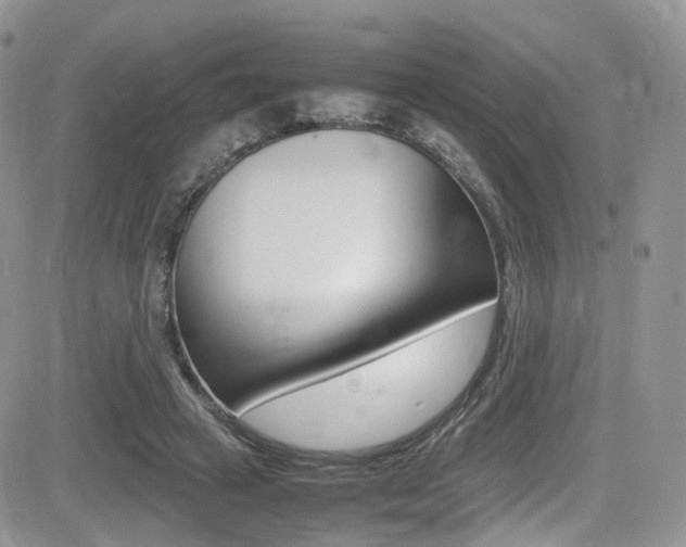 X0000085840449200703161100